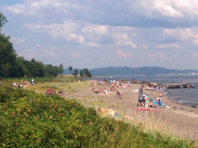Strandscene med folk som soler seg og slapper av på sanden, omgitt av grøntområder og busker, med fjell i det fjerne og delvis skyet himmel.