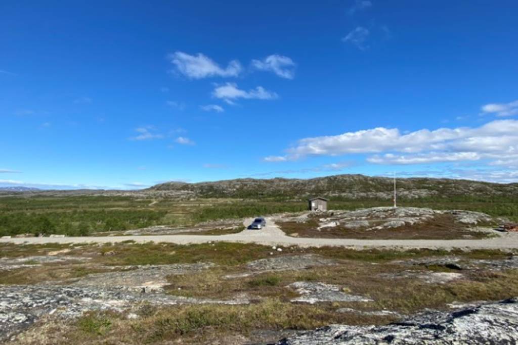 høy